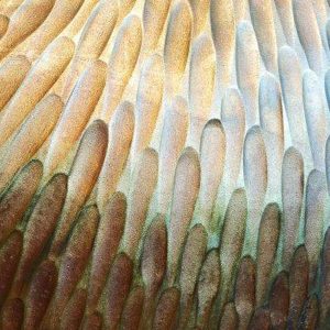 The Arrangement's View